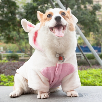 舞狮狗狗衣服毛边搞笑秋冬冬装狮子狮子狗宠物宠物服装