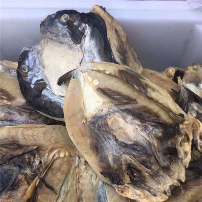 河豚鱼干自家手工处理食用咸鱼海产品海鲜干货鱼