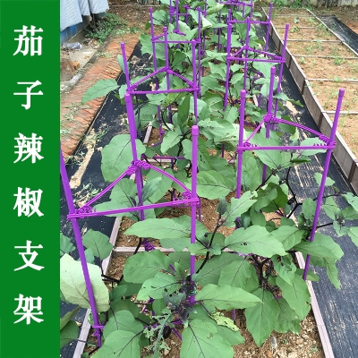 支架黄瓜花架西红柿番茄攀爬爬藤植物茄子支柱花架