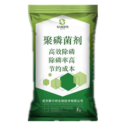 聚磷菌剂污水处理专用磷菌剂去总降低水体含量去除率ph调节剂