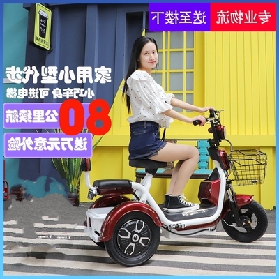 成人家用小型代步电动车双人休闲四季智能女生高端电动三轮车