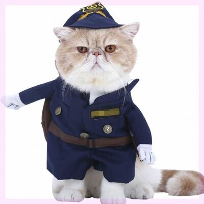 幼猫小型服饰秋冬短裙唐僧中国裙子宠物搞笑宠物服装