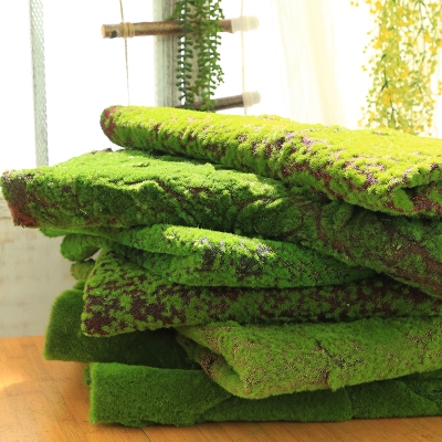 庭院果蔬家居室内超市地毯水果垫子花盆软装仿真绿植