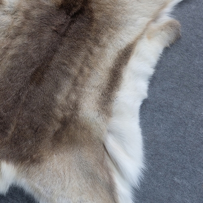 装饰正品芬兰驯鹿鹿皮整张皮毛毛皮地毯皮草地毯