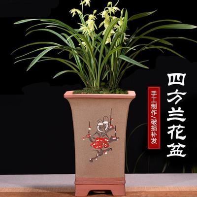 花盆紫砂方花盆兰花四方盆花花架六方君子兰特大号花盆
