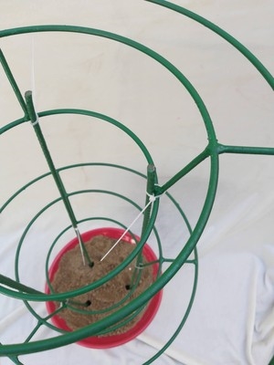 花架艺兰花架子兰草专用盆架爬藤多层支架兰花花架