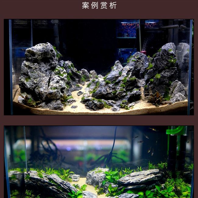 造景假山底沙石头水族水草闪电酸洗天然草缸造景