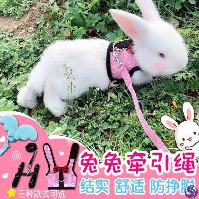 牵引兔绳兔子背心式遛挣脱牵兔宠物绳溜可调兔绳