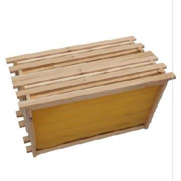 十框塑料框架新款平箱活动带框组合框蜜蜂成品巢框中蜂蜂箱兰峰