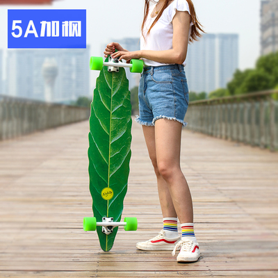 滑板树叶叶子长板公路男女刷街代步四轮舞板滑板