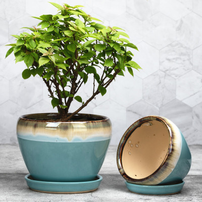 花盆蓝花绿古古典桌面简约国风盆栽托盘孔雀花盆