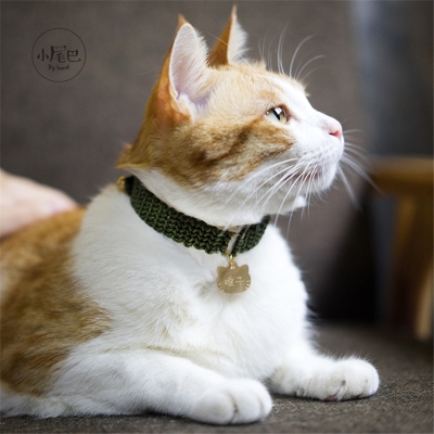 项圈定制白猪商店小尾巴猫牌身份刻字防丢手工项圈