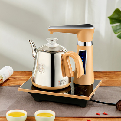 other其他用电烧水壶泡茶专用简易喝茶电热水壶