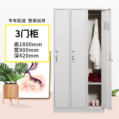 衣柜办公室多格护士医院挂衣储物柜两门员工铁皮更衣柜