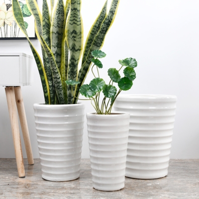 花盆客厅庭院简约白釉陶瓷特大号绿植发财树清仓花盆