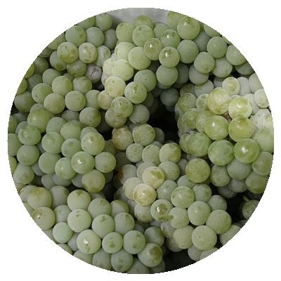 葡萄水晶新鲜水果三甲绿葡萄现摘现发云南当季礼品袋