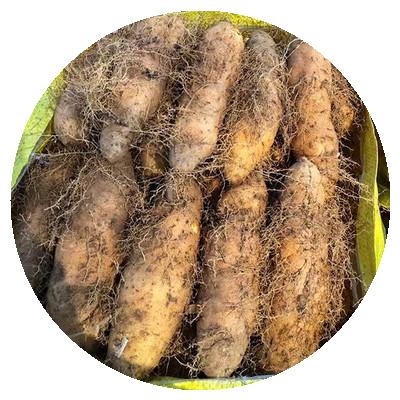 湛江参薯薯公薯薯5斤薯粉薯贡山药茂名猪仔手机保护套