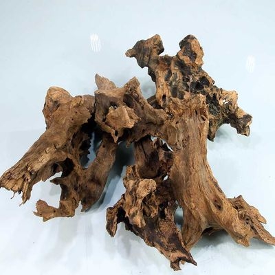 老树树枝根雕景观随形茶道树根整体树桩朽木根雕