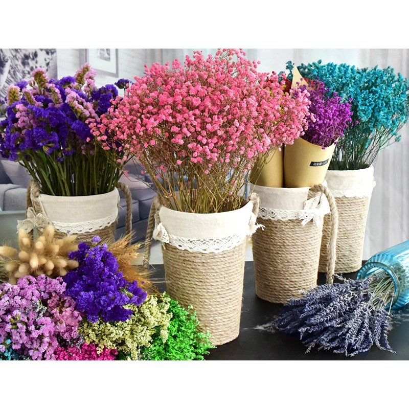 大勿忘我我的情人节送生日超大干花束礼物满天星干花