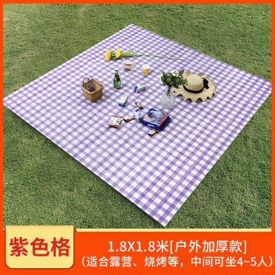 户外一次一次性性野餐布烧烤野餐防水加厚塑料桌布