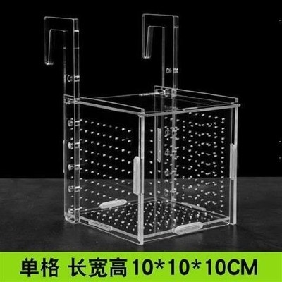 饲养隔离过滤鱼缸个性亚克力力克培育小孔网亚孵化器