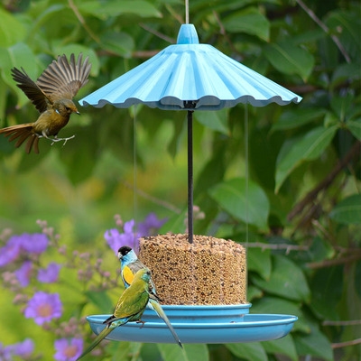 喂鸟喂食户外新型3224布施野外阳台喂食器