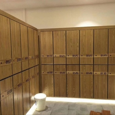 新木质浴场瑜伽健身房衣柜桑拿洗浴中心浴室柜足浴木质文件柜