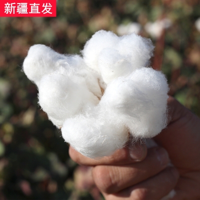 新疆散装棉花长绒皮棉一级精梳棉弹棉絮被子棉花被