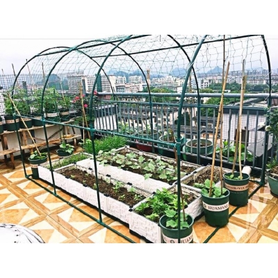 藤架棚架钢管露台绿萝种植花盆架子屋顶蔬菜其它园艺用品