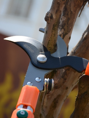 潘易篱笆粗枝大剪刀修枝剪果树枝花木剪草草坪剪刀