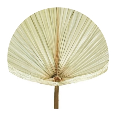 烧烤粽叶小号夏天叶夏天棕榈绘画儿童工艺编织扇子