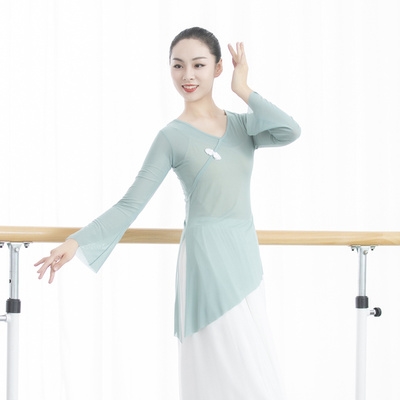 现代舞服装舞蹈老师专用中国舞运动飘逸2020长袖现代舞服装