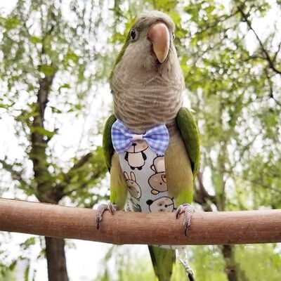 小太阳宠物玄凤鹦鹉衣服飞行牡丹纸尿和尚尿不宠物服装