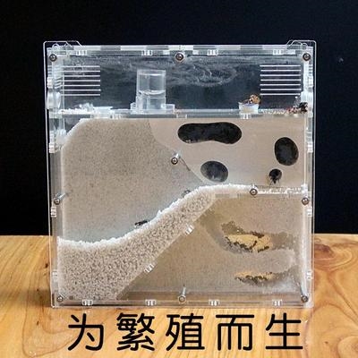 蚂蚁繁殖庄园城堡亚克力部落工坊宠物玩具立式可养蚂蚁工坊