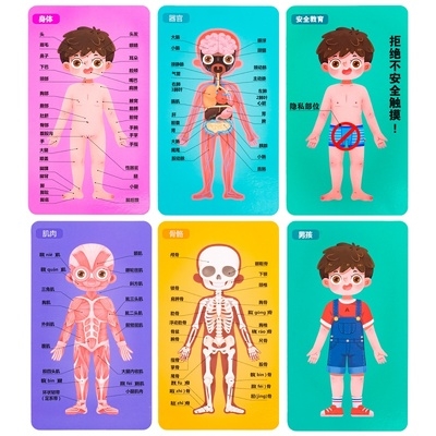 玩具儿童早教拼图男孩女孩身体结构拼图