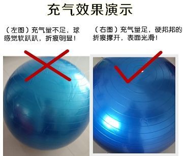 正品专业康复训练练球瑜伽儿童脑感平衡巴氏瑜伽球