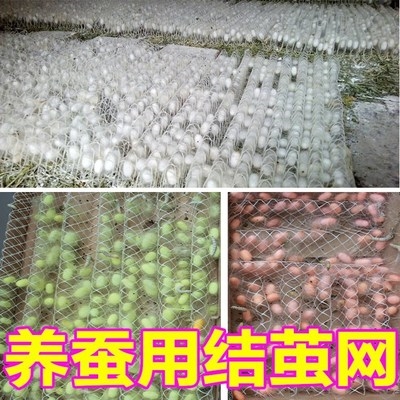 蚕宝宝结茧架吐丝架蚕丝网蚕结茧架上山塑料蚕用蚕宝宝