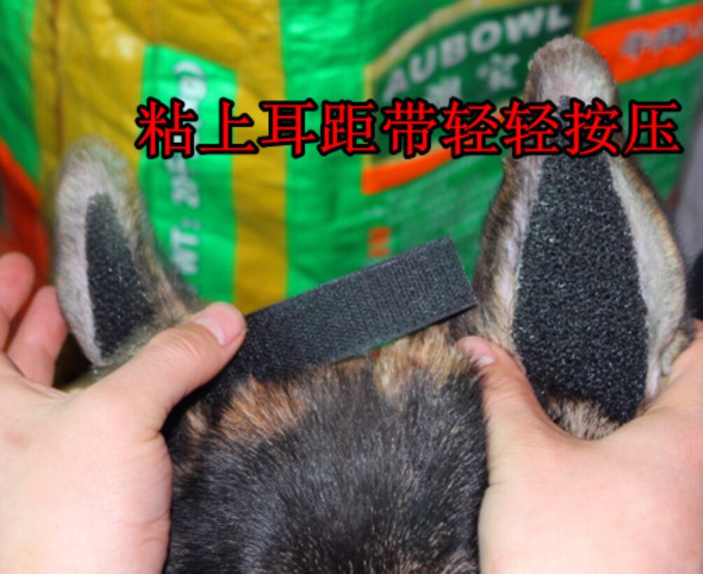 耳朵矫正狗立狗狗支架德牧耳贴宠物立耳更多日用品