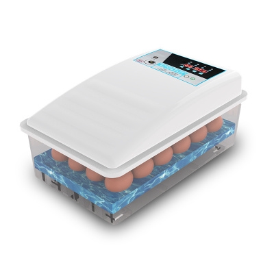 鹌鹑种蛋孵化器小鸟加热山鸡工业仿生卵化机水床电热工具