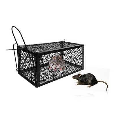 nest household automatic mousetrap rat the cae mouse