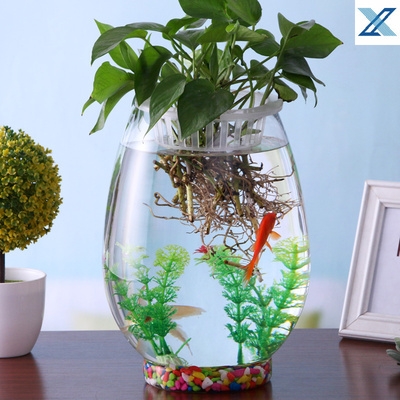 鱼缸植物共生生态小微景观小鱼客厅小型家用鱼缸