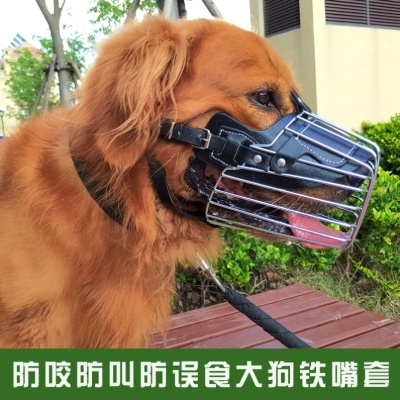 母猪猪嘴套防不锈钢狗嘴套防咬套保护套狗狗牵引工具龟