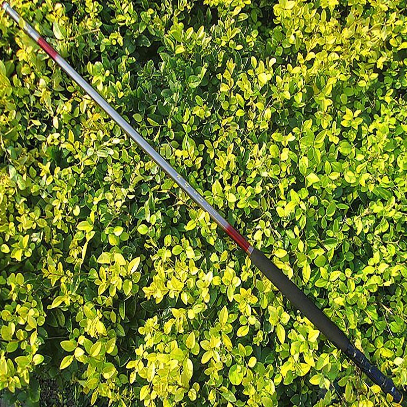 梭鱼中通拍杆拍杆拍内走线鱼钓鱼海钓竿硬钓竿