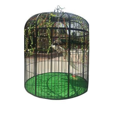 铁艺道具大号孔雀观赏婚庆装饰鸟笼鸟笼