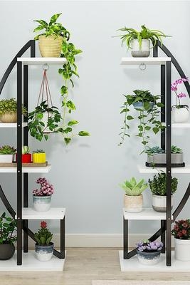 半圆形花架弧形客厅吊兰卧室家用省空间阳台装饰花架