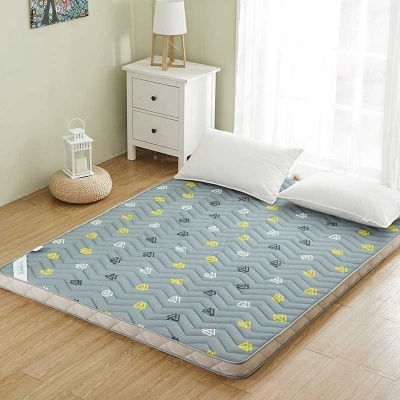 床垫地上睡觉地铺可收收纳折叠网红落地租房床垫