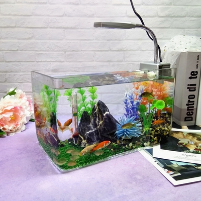 鱼缸桌面长方形玻璃一次成型无缝小型热弯超白鱼缸