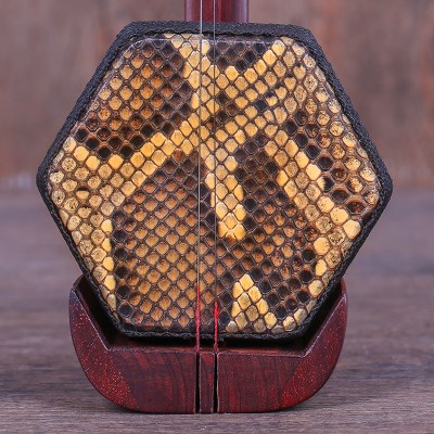 高档紫檀龙头越胡主胡越剧二胡苏州民族乐器二胡