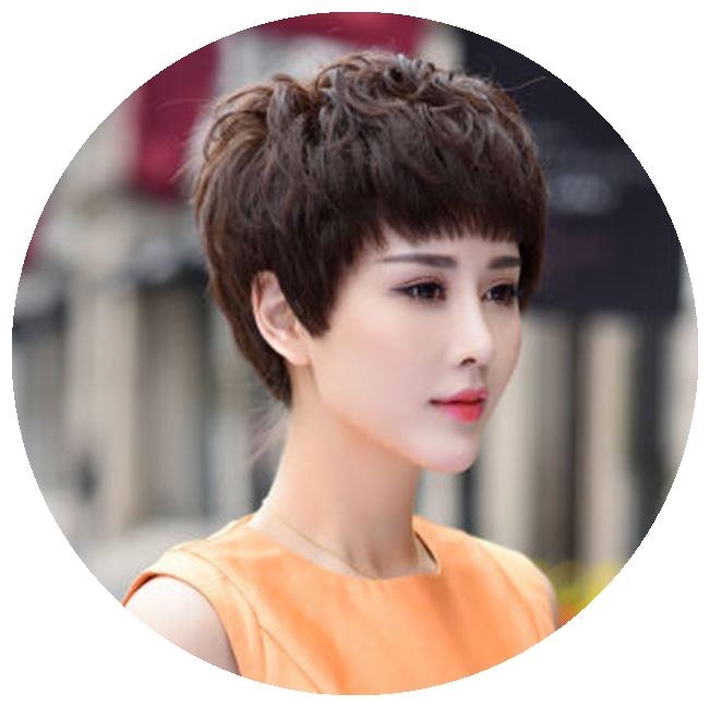 假发2020中老年短发中年女士时尚短卷发整体发套日常整顶假发