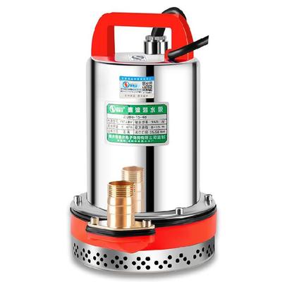 电动抽水水泵小型三轮车插在电瓶车上的浇地不锈钢水泵